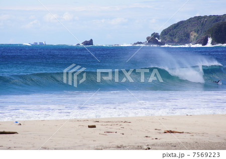 伊豆 伊豆 7569223