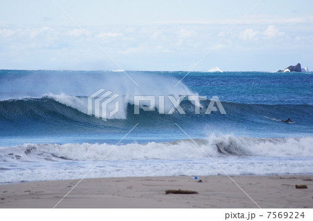 伊豆 伊豆 7569224