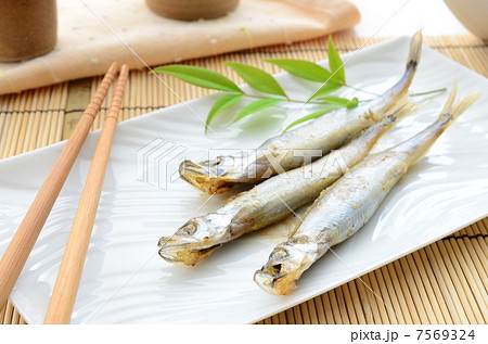 ししゃも 7569324