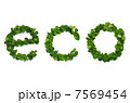 エコイメージ 7569454
