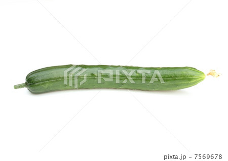 もぎたてフレッシュ胡瓜 7569678