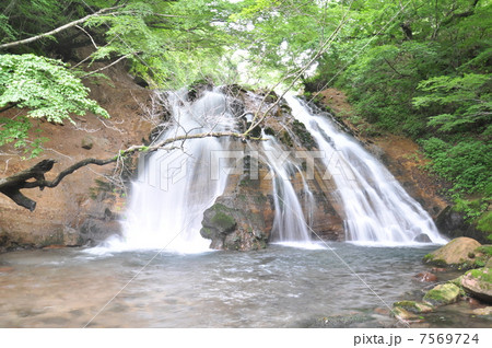名水の滝 名水の滝 7569724