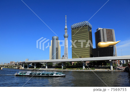 東京スカイツリーとホタルナ 東京スカイツリーとホタルナ 7569755