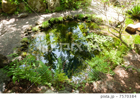 忍野八海　お釜池 7570384