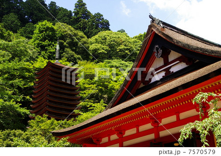 談山神社 7570579