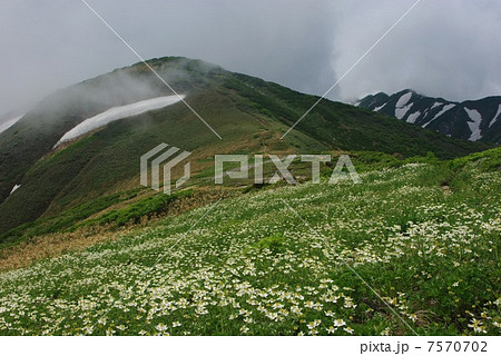 大石山 大石山 7570702