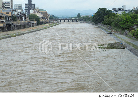 台風の痕 7570824