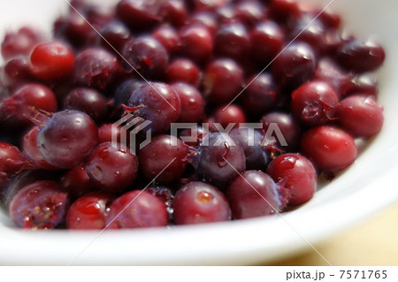 ジューンベリー ジューンベリー 7571765