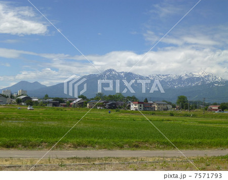 新潟 妙高山 田んぼ 初夏の風に包まれて 新潟 妙高山 田んぼ 初夏の風に包まれて 7571793