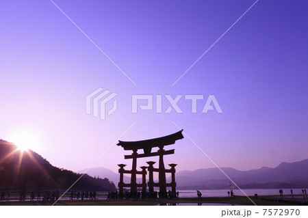 宮島の大鳥居 宮島の大鳥居 7572970