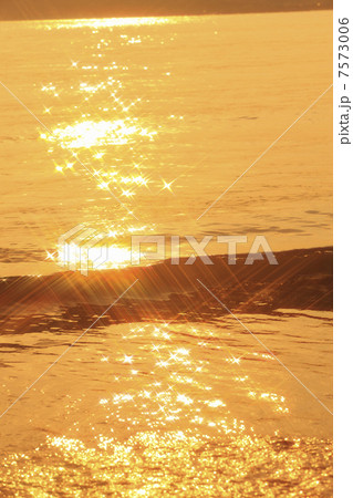 向島の海 7573006