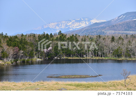 知床五胡 知床五胡 7574103