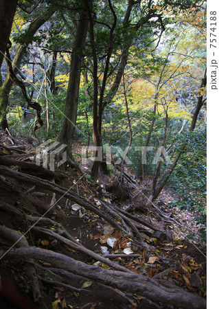 投入堂への道 7574188