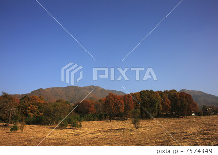 秋の蒜山 7574349