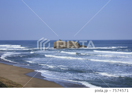 白兎海岸 7574571