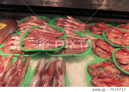 魚、金太郎 7574717