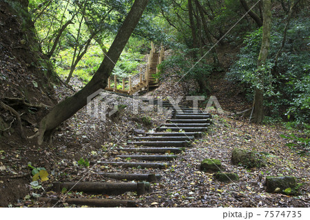 銀の道 銀の道 7574735