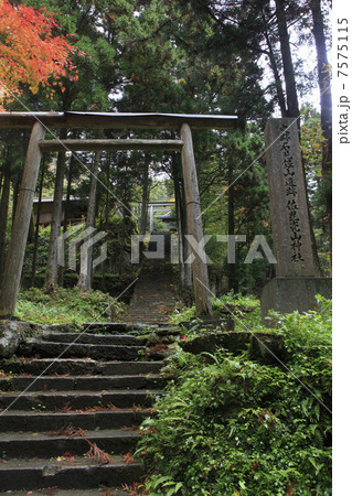 岩見銀山の鳥居 7575115