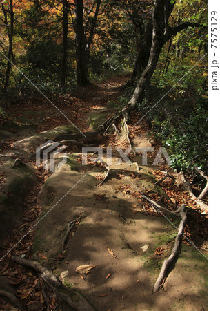 投入堂への道 投入堂への道 7575129