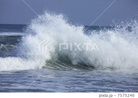 白兎海岸 7575240