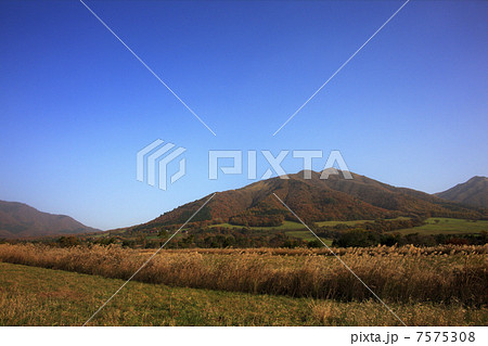 秋の蒜山 7575308