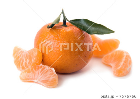 Tangerine  7576766