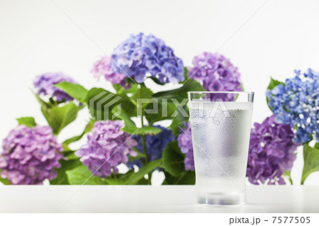 ミネラルウォーター 7577505