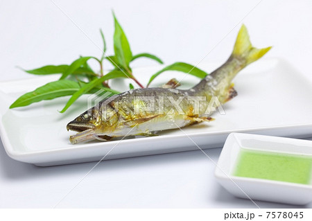 鮎の塩焼き 7578045