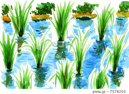 Ricepaddypix1のイラスト素材