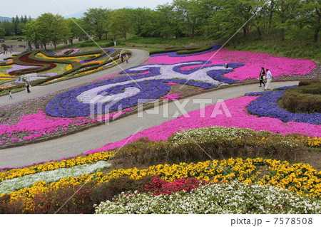 花の公園 花の公園 7578508