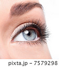 Beauty female eye with curl long false eyelashes 7579298