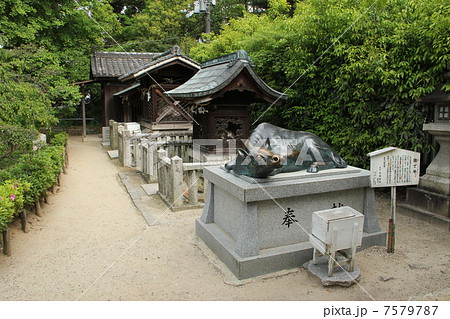 道明寺天満宮 道明寺天満宮 7579787