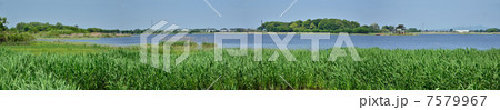 多々良沼散歩・多々良沼 パノラマ風景 多々良沼散歩・多々良沼 パノラマ風景 7579967