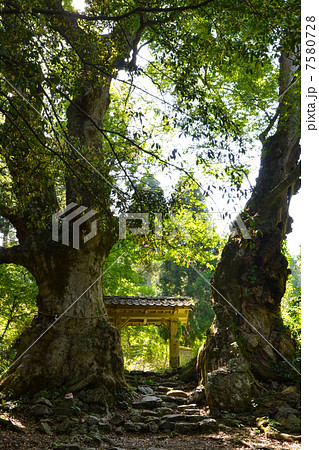 菅山寺（かんざんじ）山門 7580728