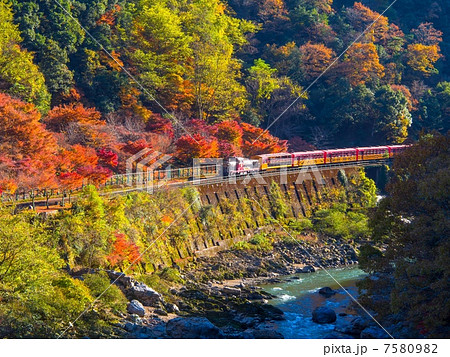 紅葉のトロッコ列車 7580982