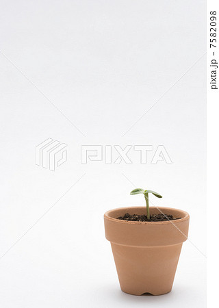 エコイメージ 7582098