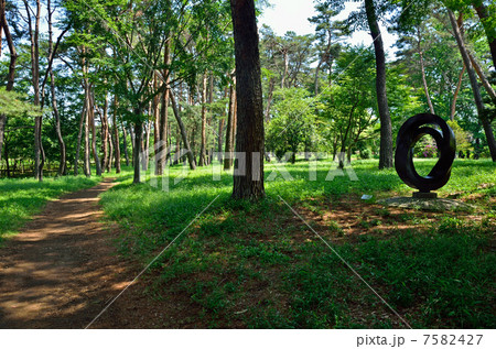 多々良沼散歩・彫刻の小径 多々良沼散歩・彫刻の小径 7582427