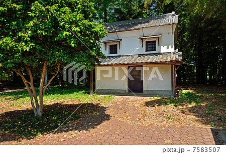 多々良沼散歩・鶉古城跡 多々良沼散歩・鶉古城跡 7583507