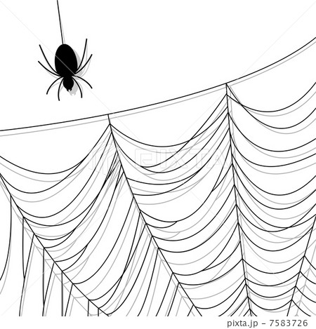 Spider web Spider web 7583726