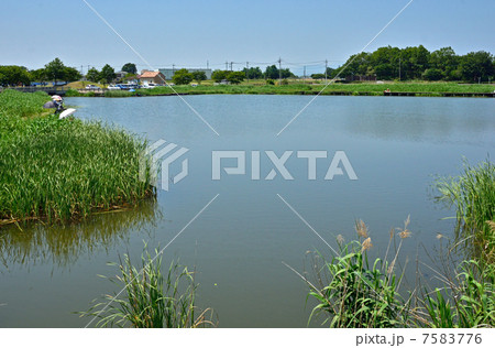 多々良沼散歩・ガバ沼 多々良沼散歩・ガバ沼 7583776