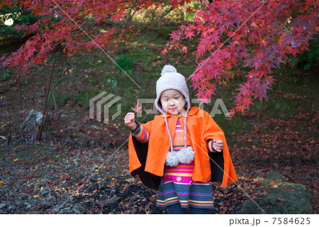 紅葉狩り 紅葉狩り 7584625