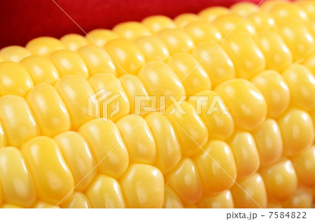 トウモロコシのアップ 7584822