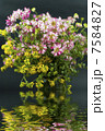 wild flowers with reflection in water 7584827
