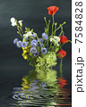 wild flowers with reflection in water 7584828