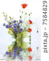 wild flowers with reflection in water 7584829
