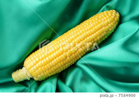 とうもろこし 7584900