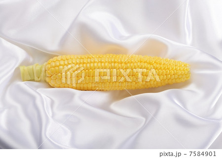 とうもろこし 7584901