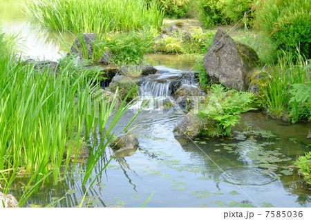 小川のせせらぎ 小川のせせらぎ 7585036