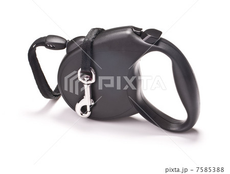 leash for dogs 7585388