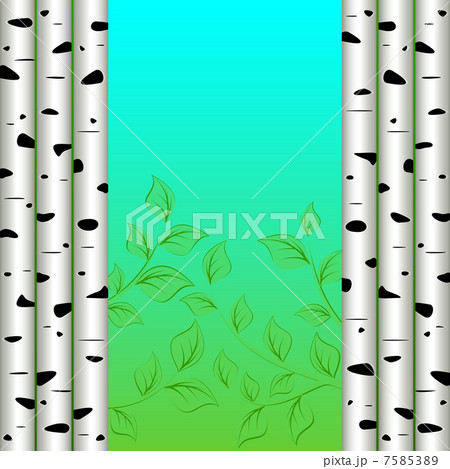 Birch background 7585389
